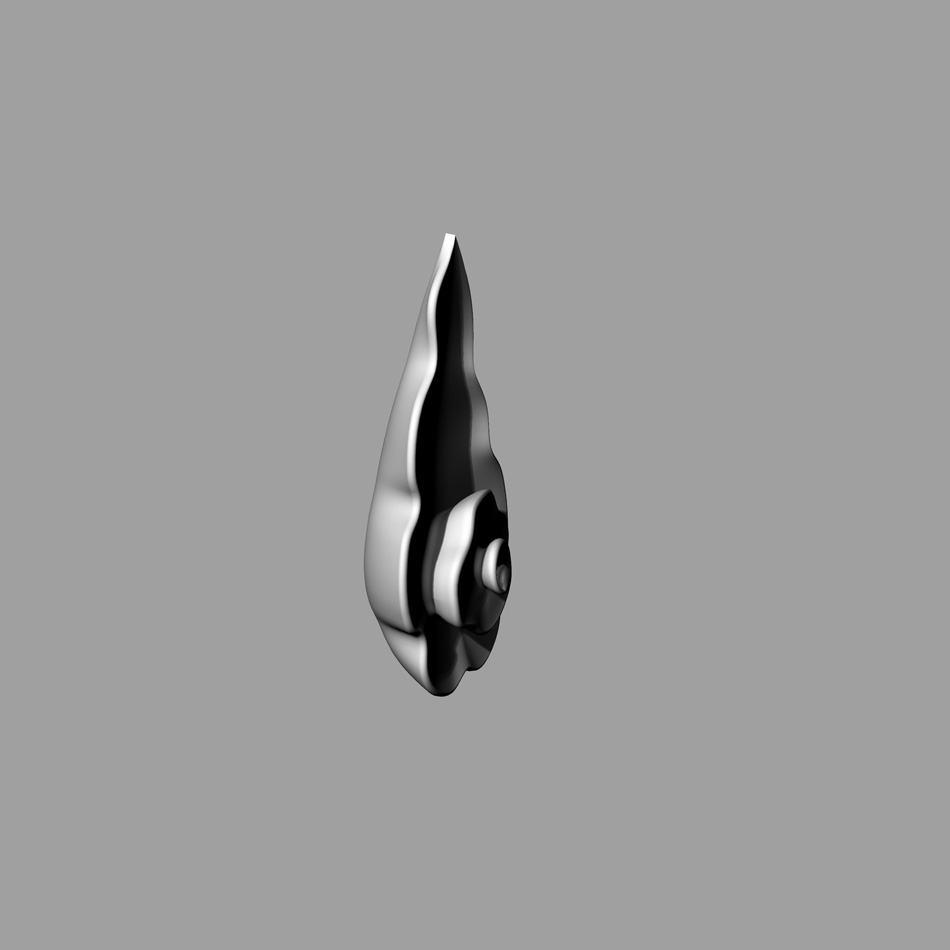 Image 117