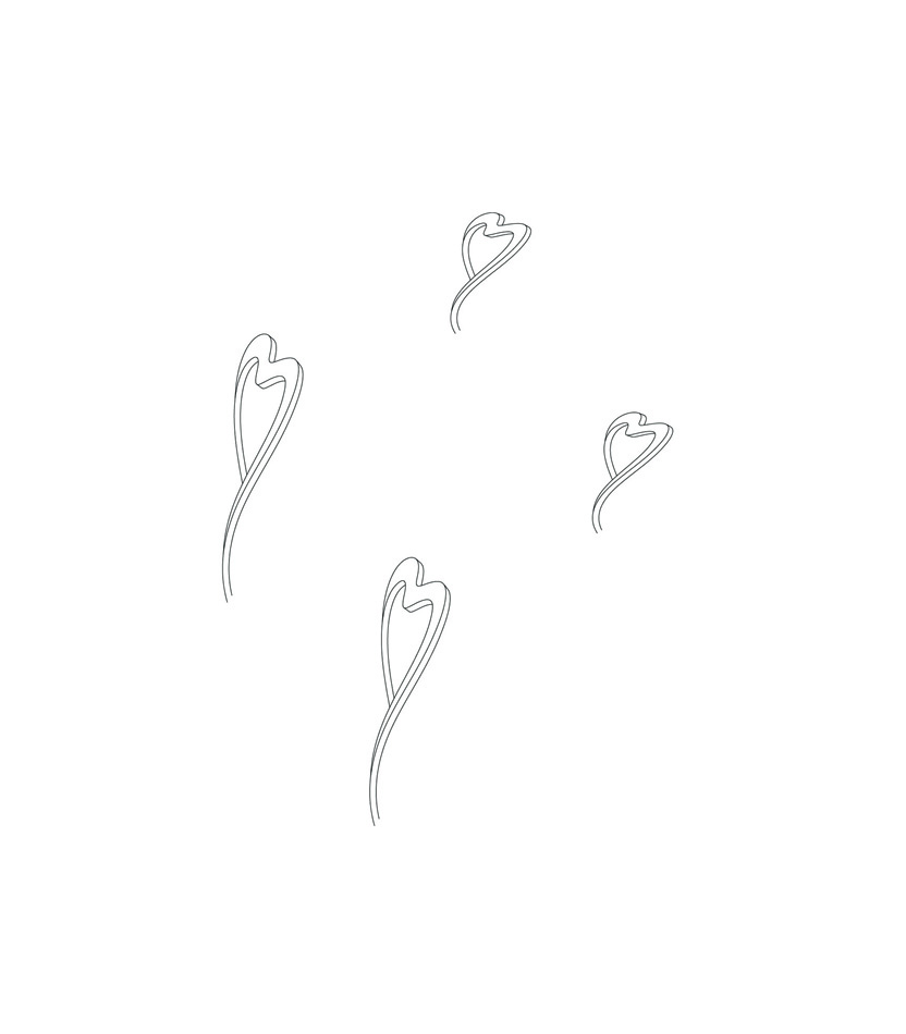 Image 185