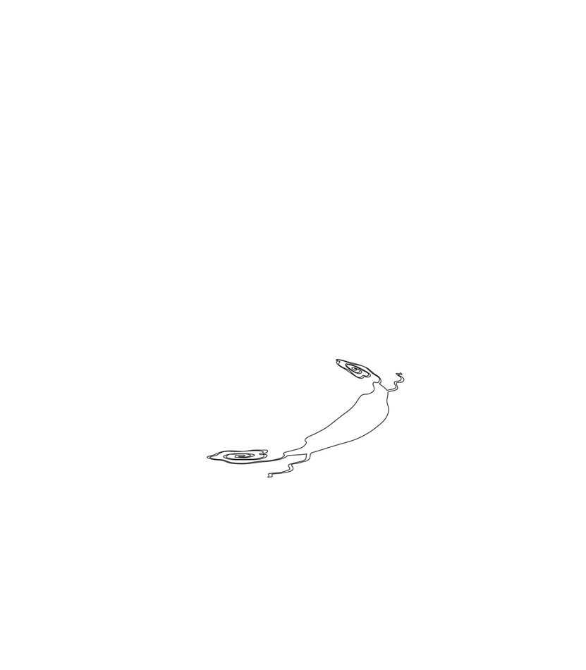 Image 205