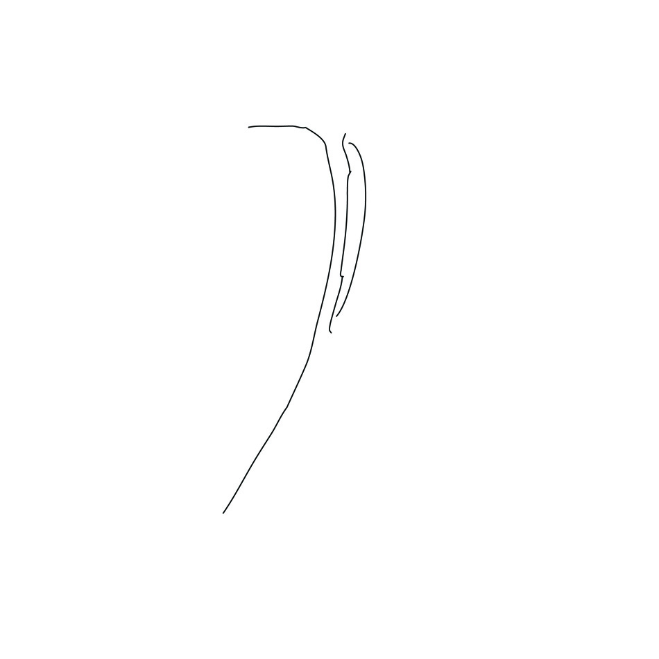 Image 284